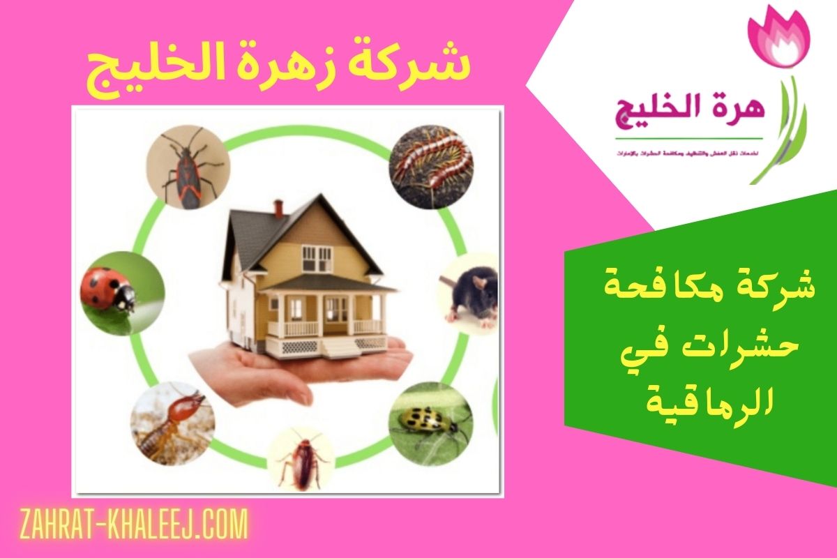 شركة مكافحة حشرات بالاحساء زهرة الخليج: الحل الأمثل لمواجهة الآفات