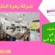 شركة تنظيف منازل في الشامخة بأبو ظبي