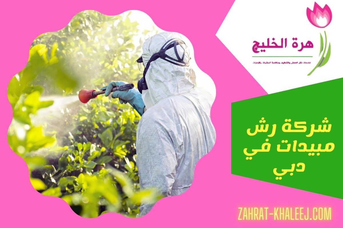 شركة رش مبيدات في دبي