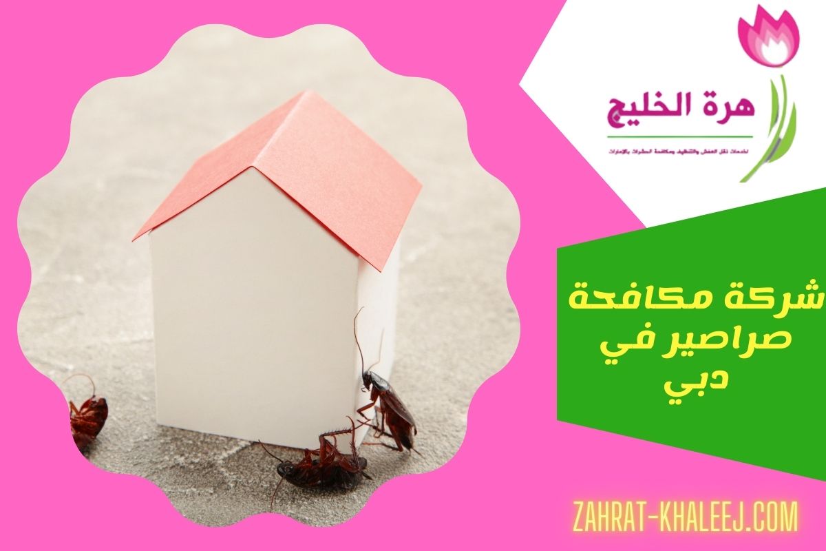 شركة مكافحة صراصير في دبي