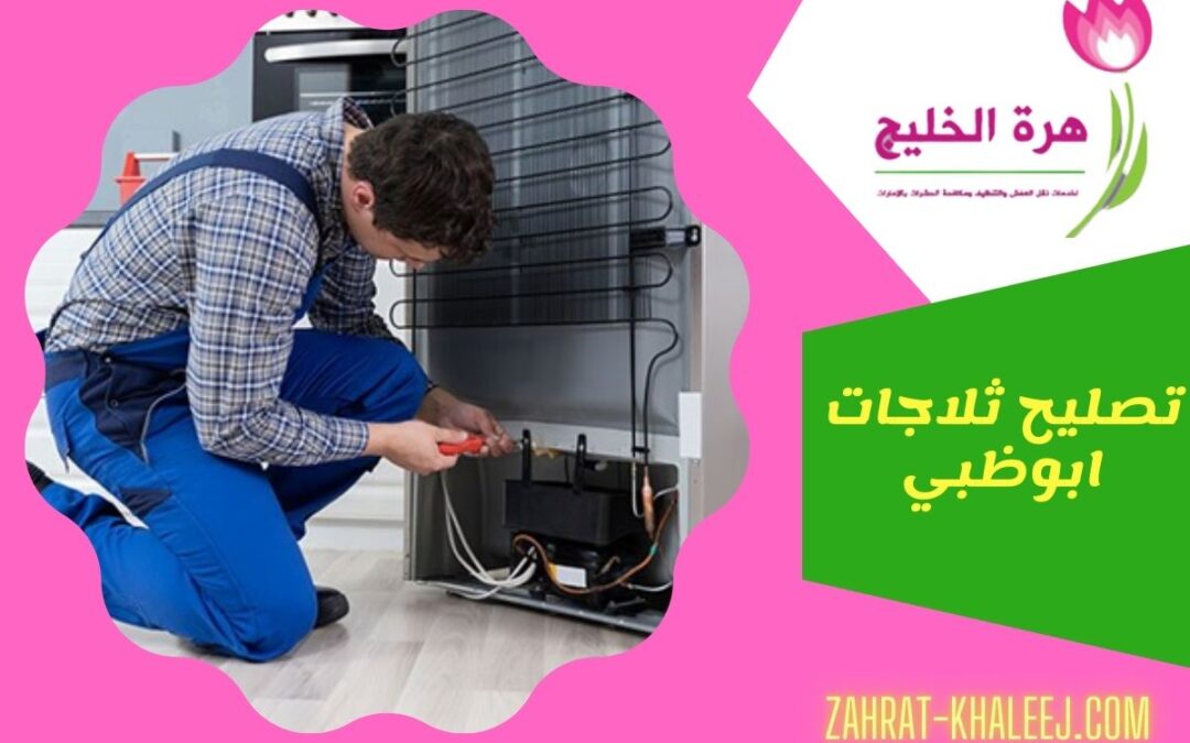 تصليح ثلاجات ابوظبي للايجار 01025284450