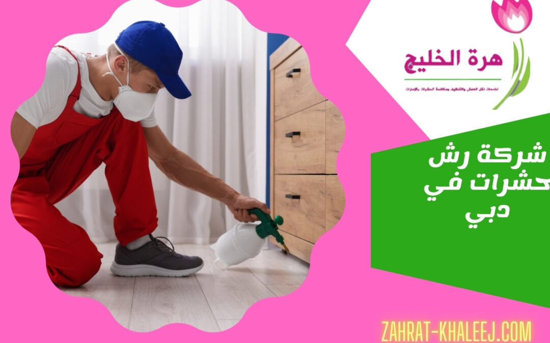 شركة رش حشرات في دبي