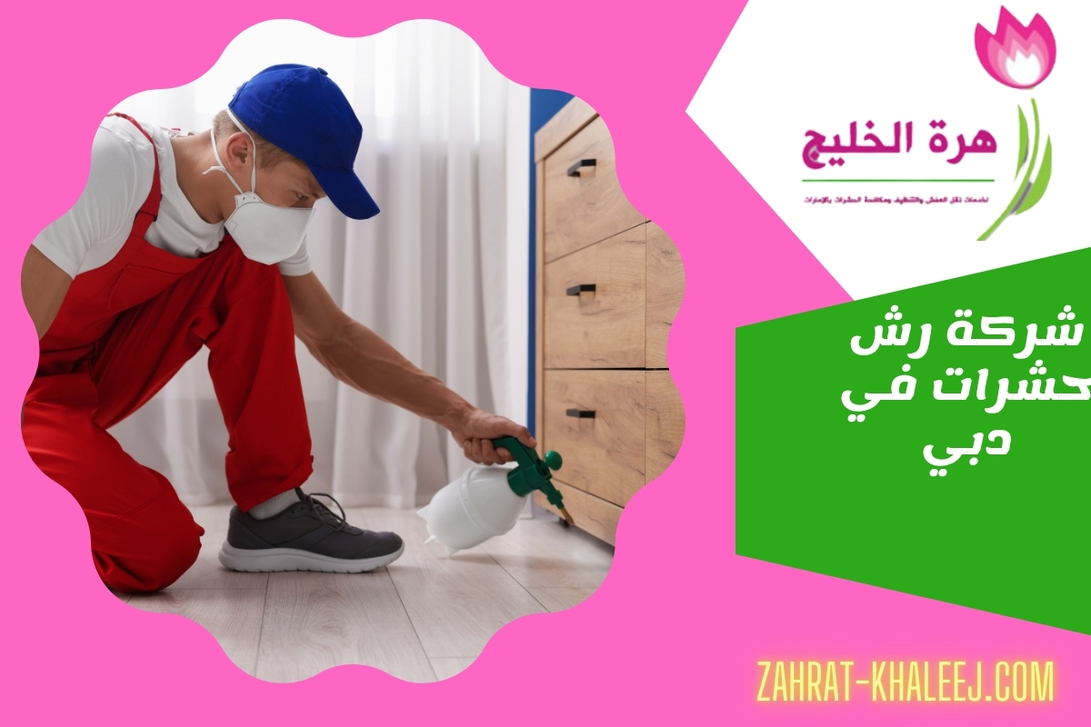 شركة رش حشرات في دبي