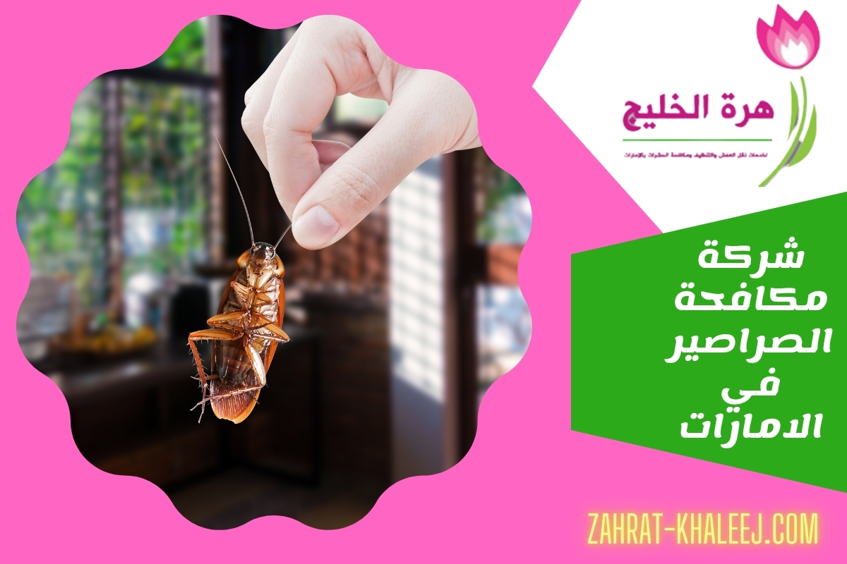 شركة مكافحة الصراصير في الامارات