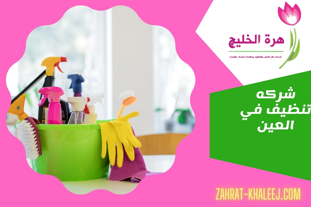 شركه تنظيف في العين