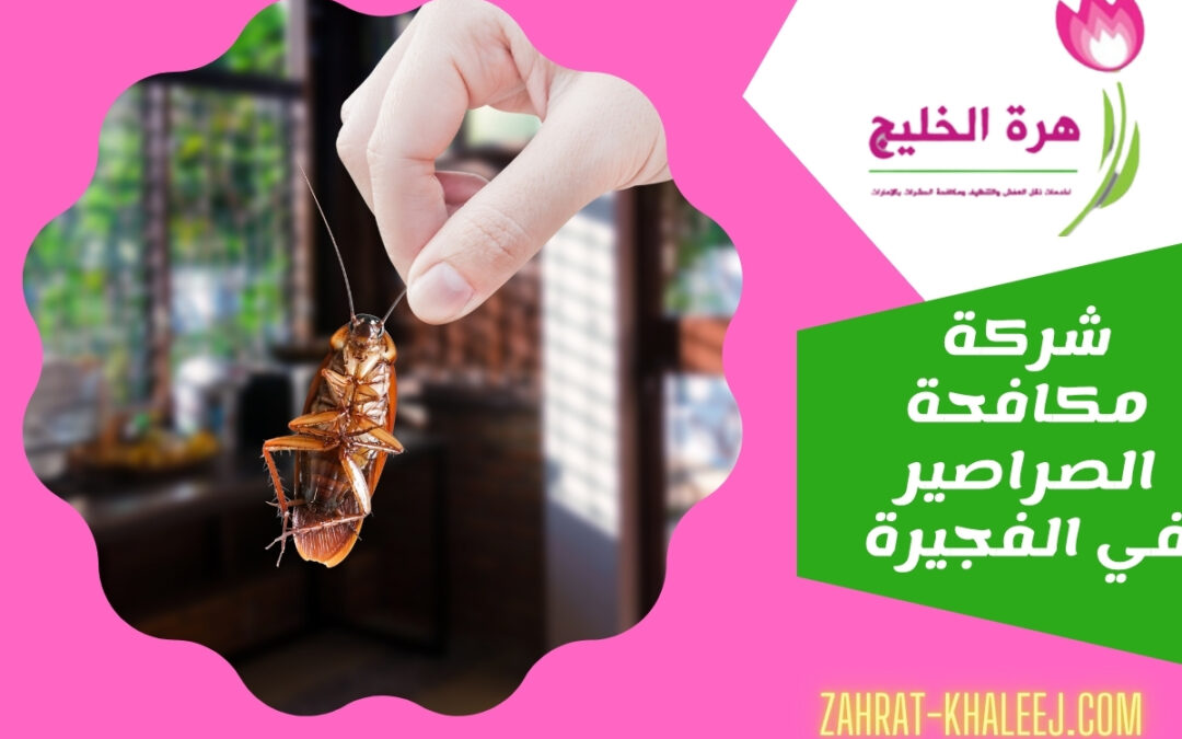 شركة مكافحة الصراصير في الفجيرة