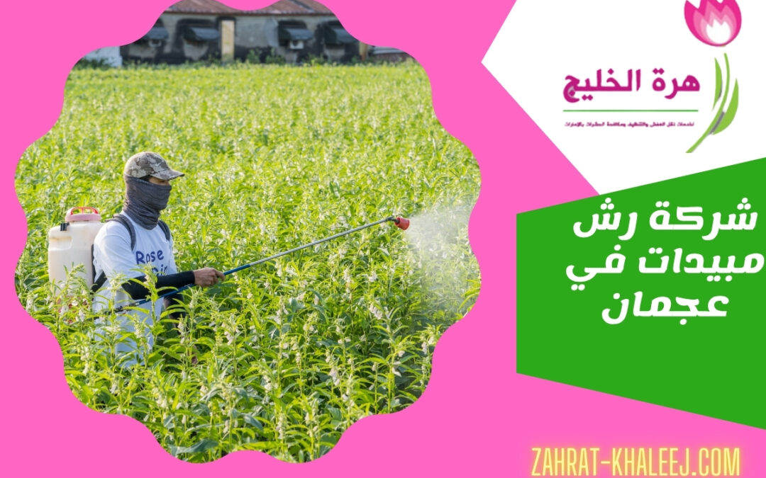 شركة رش مبيدات في عجمان