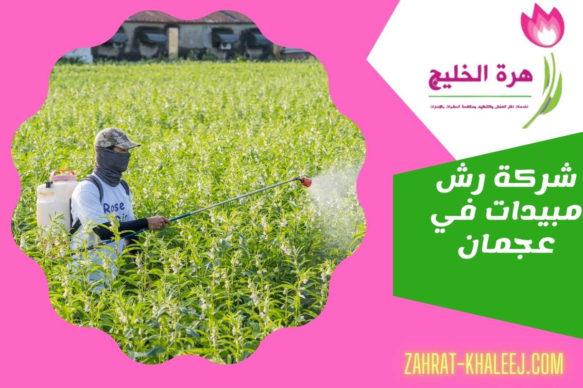 شركة رش مبيدات في عجمان