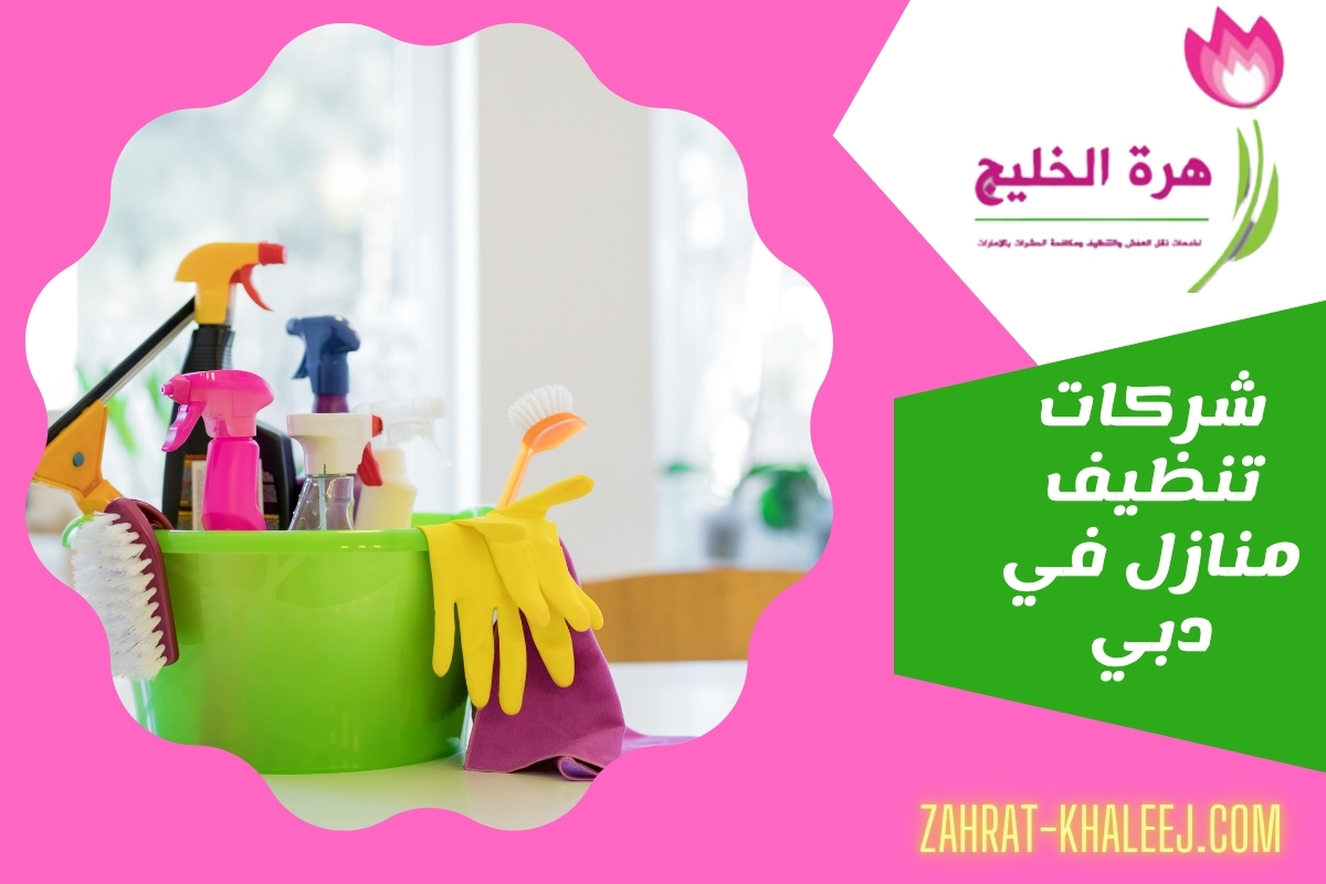شركات تنظيف منازل في دبي