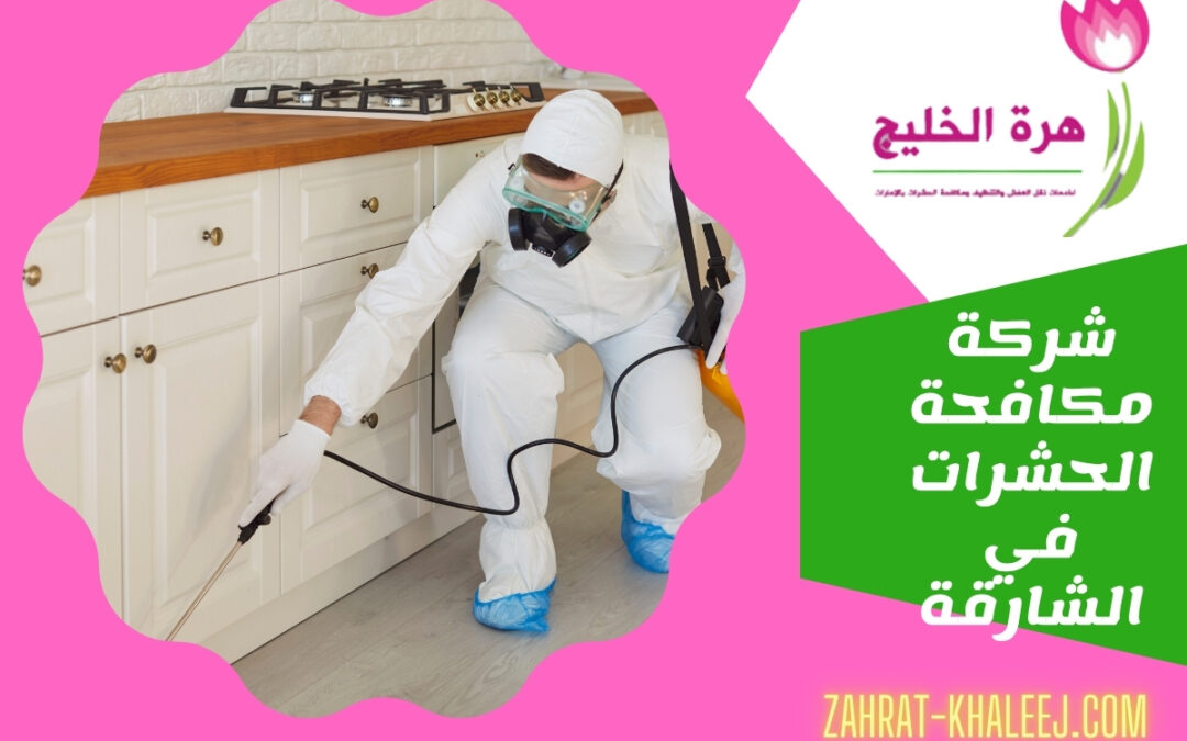 شركة مكافحة الحشرات في الشارقة