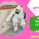 شركة مكافحة الحشرات في الشارقة