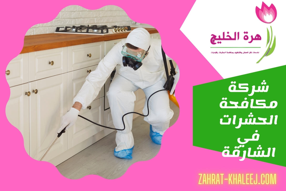 شركة مكافحة الحشرات في الشارقة