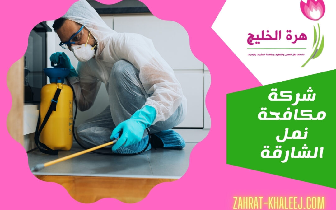 شركة مكافحة نمل الشارقة