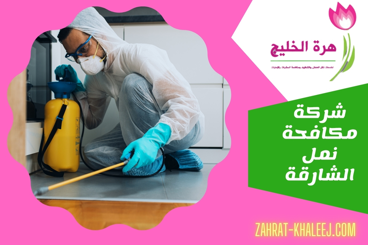 شركة مكافحة نمل الشارقة