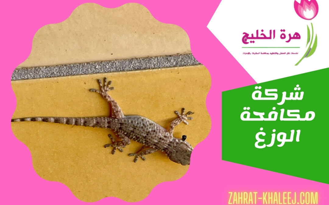شركة مكافحة الوزغ