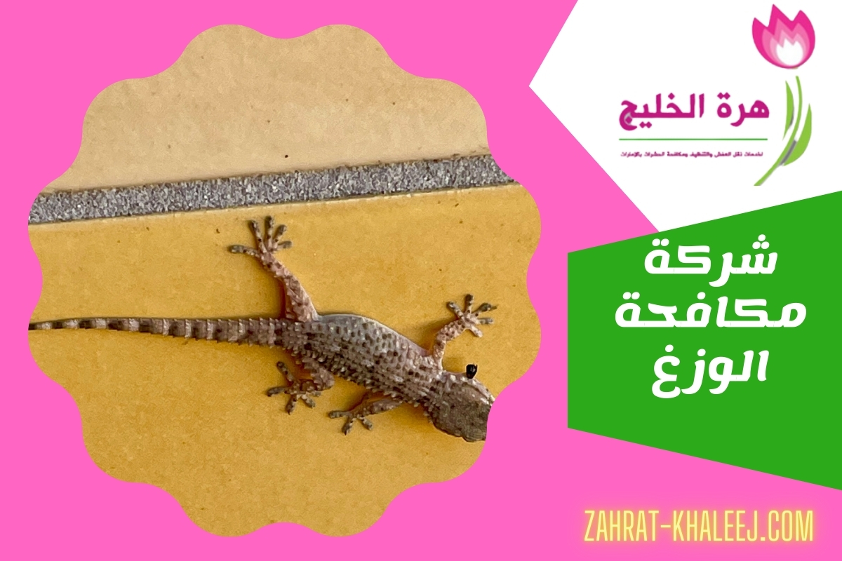 شركة مكافحة الوزغ