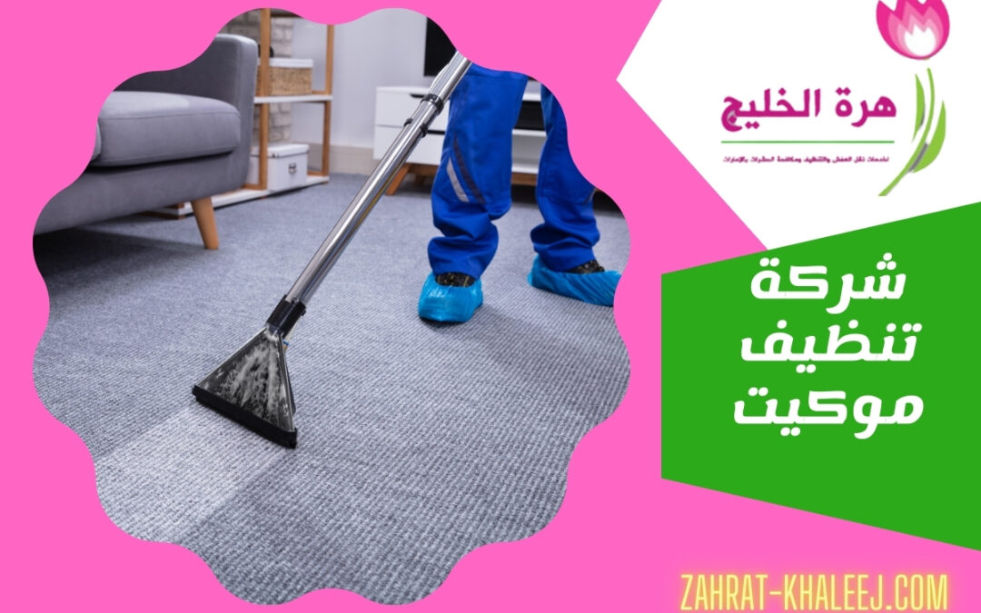 شركة تنظيف موكيت