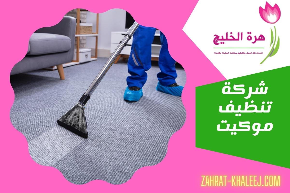 شركة تنظيف موكيت
