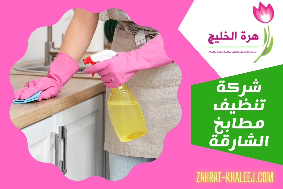 شركة تنظيف مطابخ الشارقة