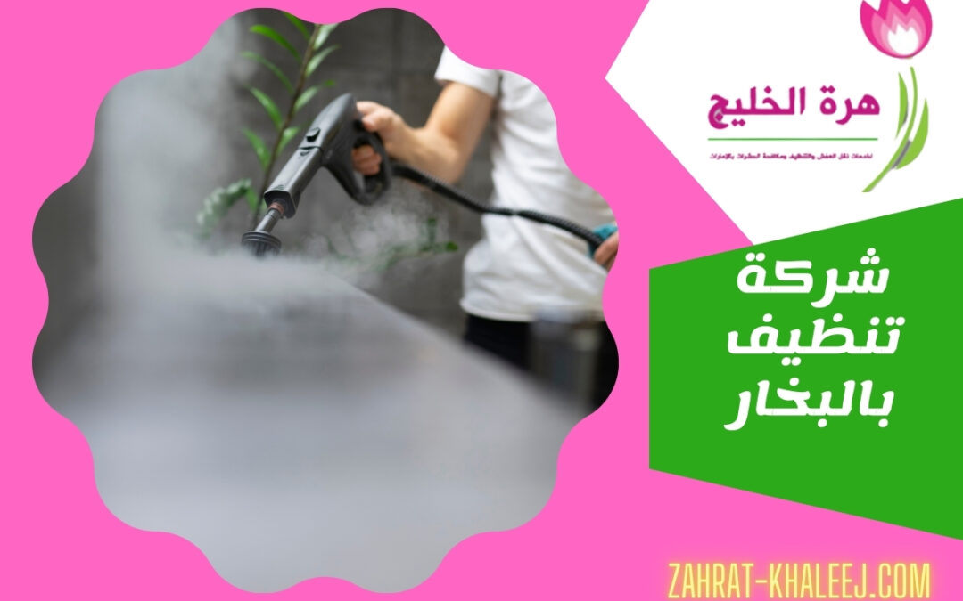 شركة تنظيف بالبخار