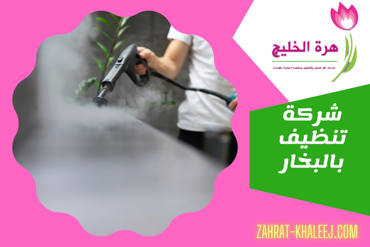 شركة تنظيف بالبخار