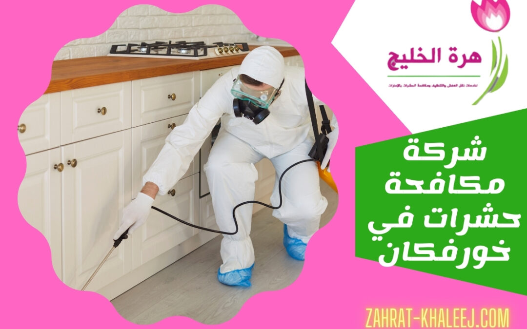 شركة مكافحة حشرات في خورفكان