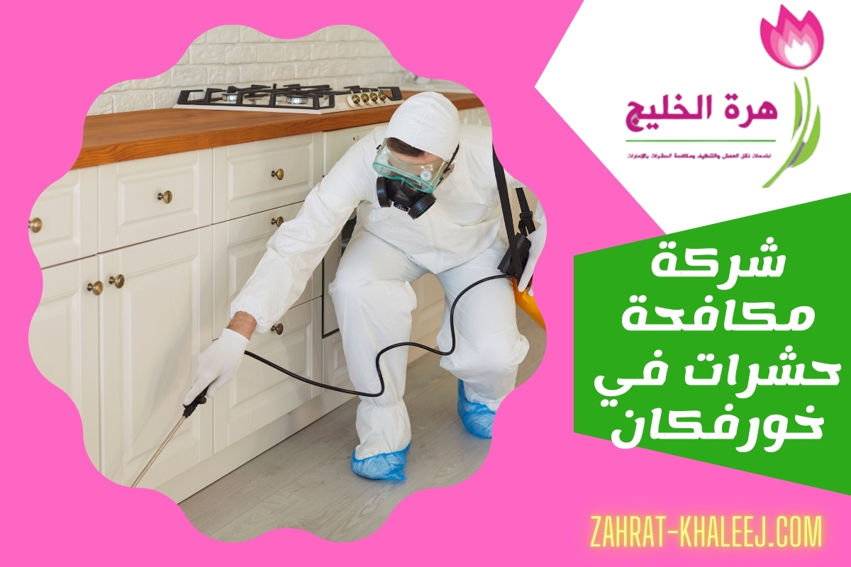 شركة مكافحة حشرات في خورفكان