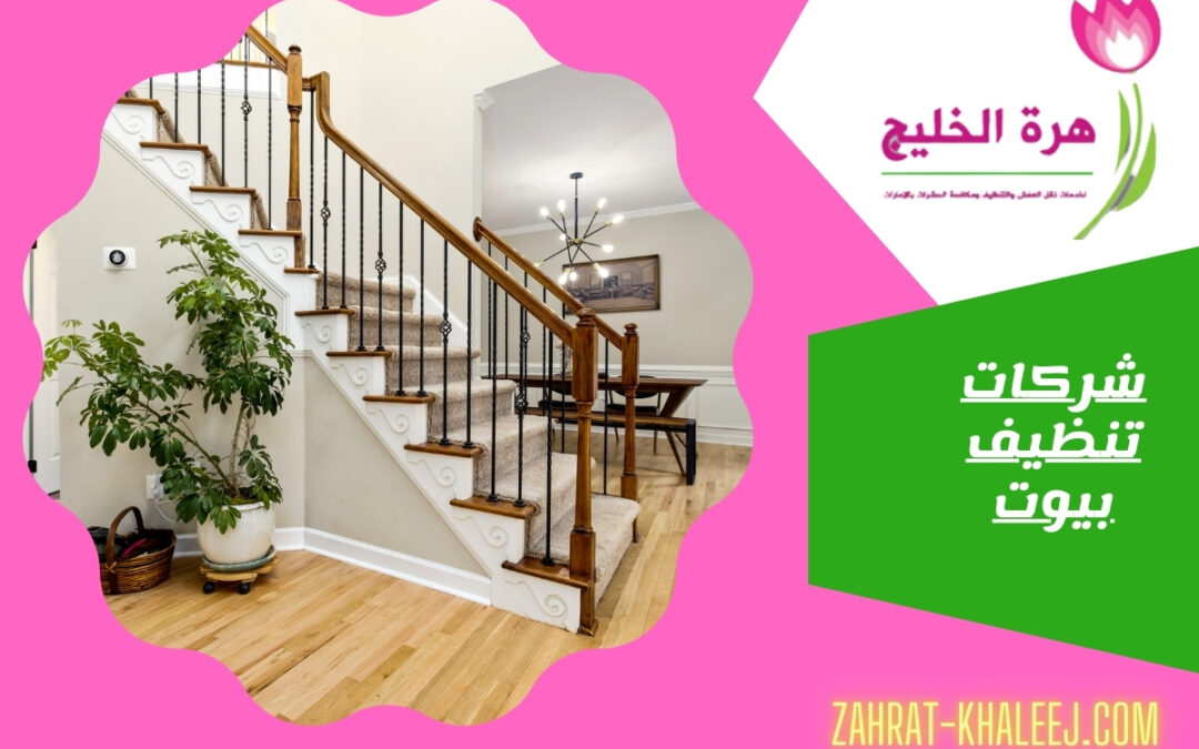شركات تنظيف بيوت