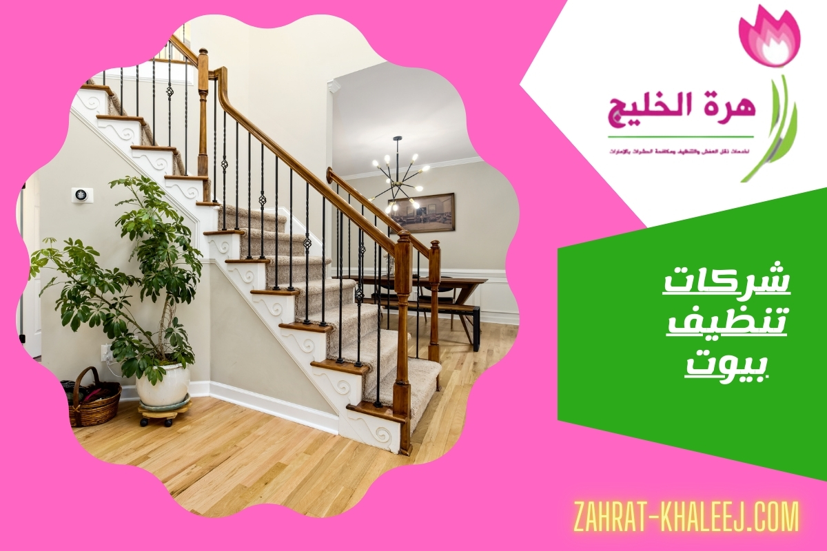 شركات تنظيف بيوت