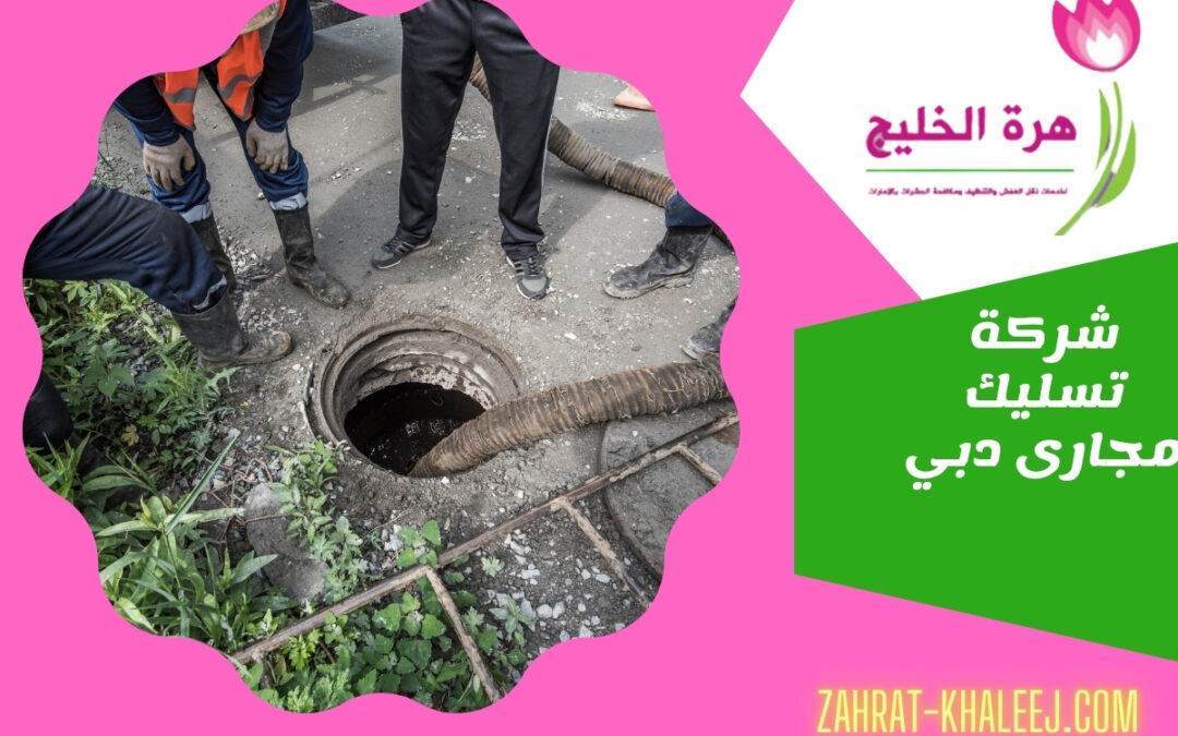 شركة تسليك مجارى دبي