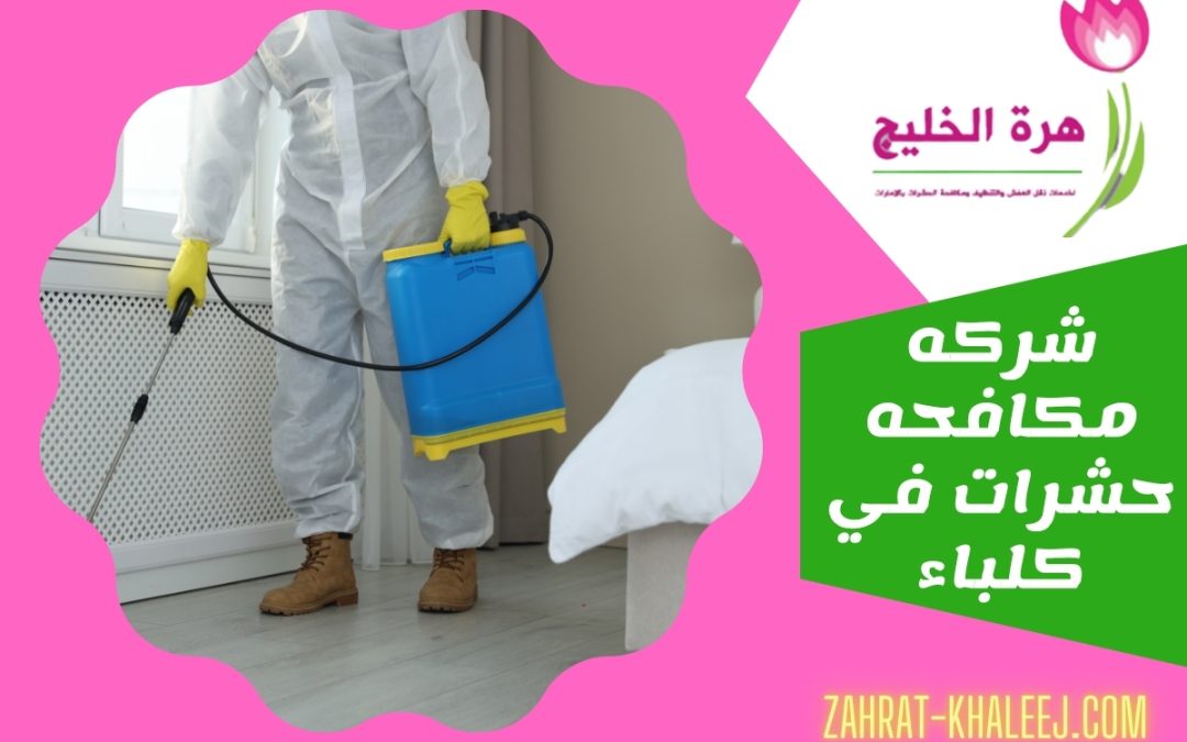 شركه مكافحه حشرات في كلباء